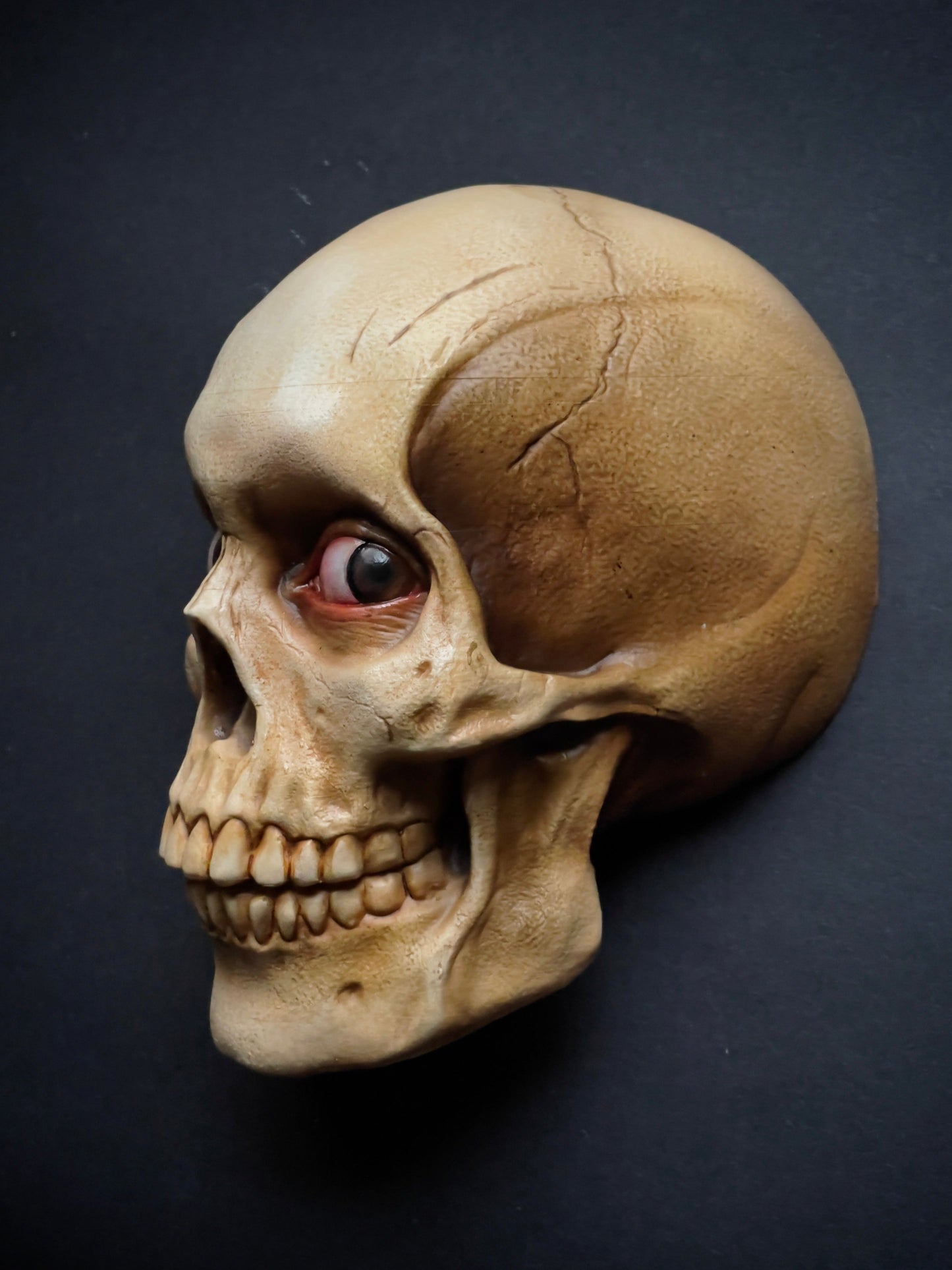 PRE-ORDER ONLY: Evil Dead 2 Skull